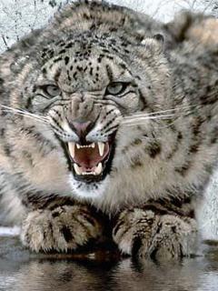 Other Wallpapers 0728